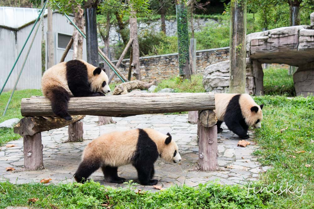 咱一块那边看看