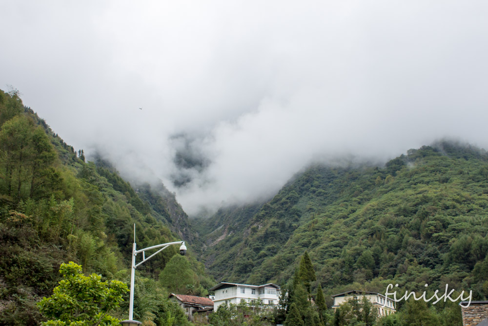 卧龙中华大熊猫苑