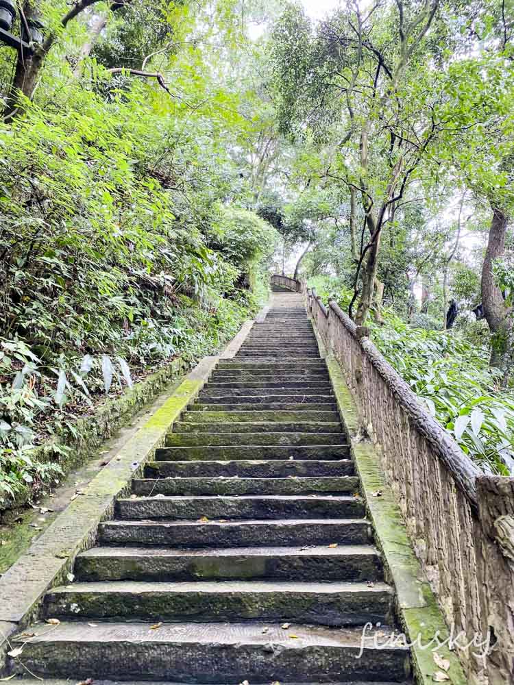 林荫小道